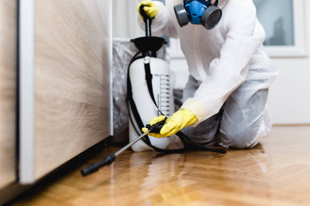 Best Flea Control Services  in Skokie, IL