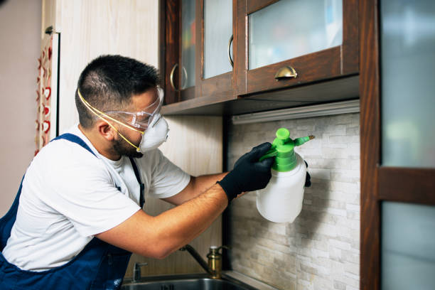 Best Best Pest Control Companies  in Skokie, IL