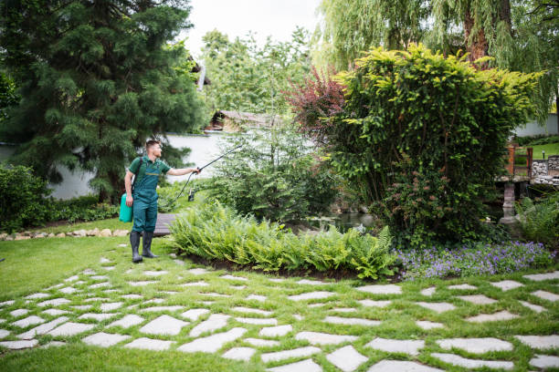 Wasp Removal Services in Skokie, IL