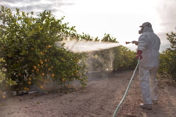 Best Mosquito Control Services  in Skokie, IL