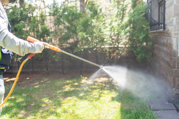 Best Local Pest Control Services  in Skokie, IL