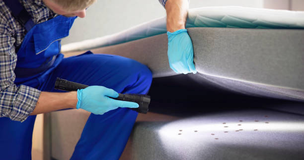 Best Best Pest Control Companies  in Skokie, IL