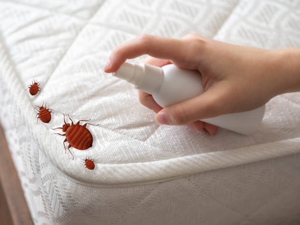 Best Bed Bug Extermination  in Skokie, IL