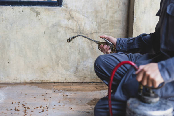 Best Rat Extermination Near Me  in Skokie, IL